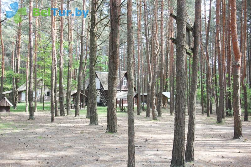 Rest in Belarus - recreation center Selyahi - Territory