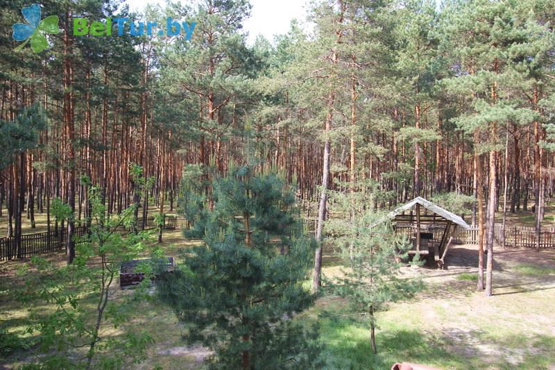 Rest in Belarus - recreation center Selyahi - Territory