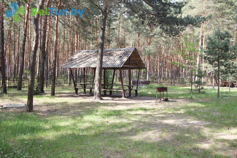 Rest in Belarus - recreation center Selyahi - Arbour