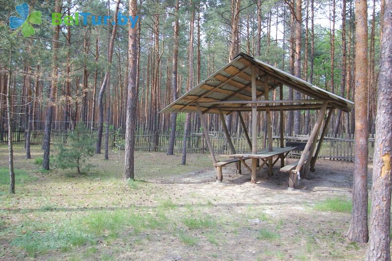 Rest in Belarus - recreation center Selyahi - Arbour