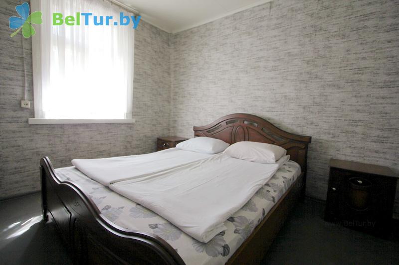 Rest in Belarus - recreation center Selyahi - 1-room double (House Retro) 