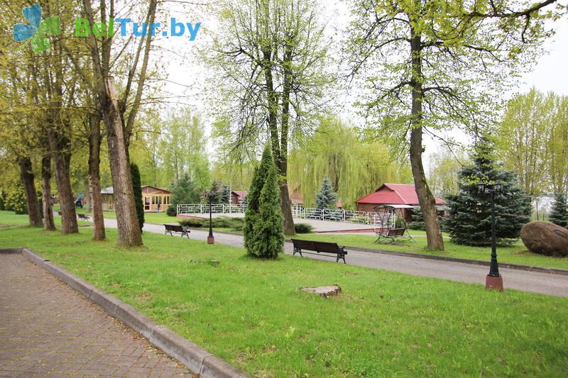 Rest in Belarus - recreation center Olimpiec - Territory