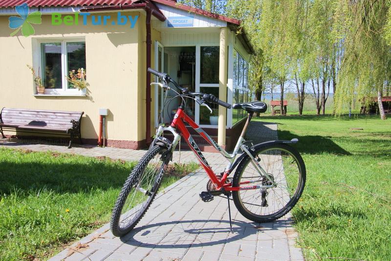 Rest in Belarus - recreation center Olimpiec - Rental