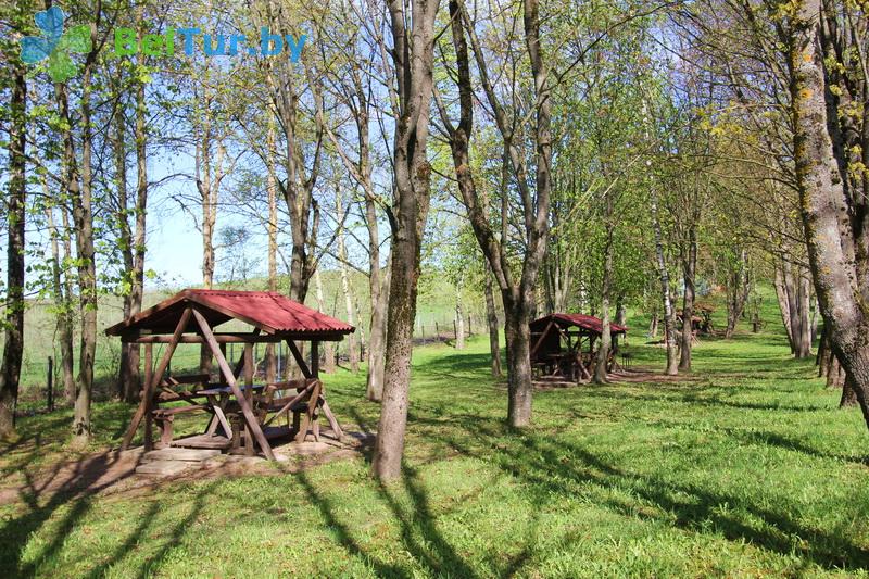 Rest in Belarus - recreation center Olimpiec - Arbour