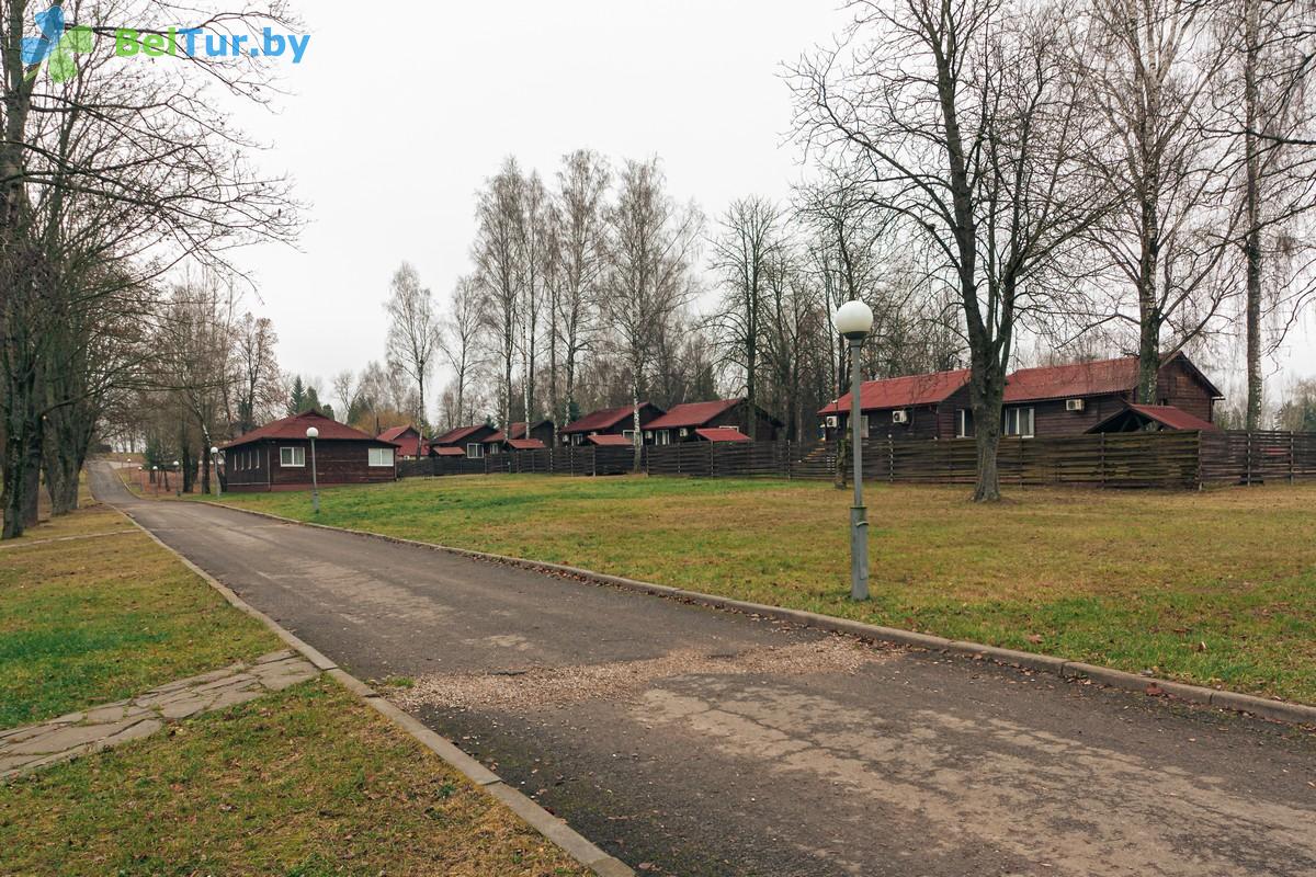 Отдых в Белоруссии Беларуси - база отдыха Олимпиец - Территория и природа