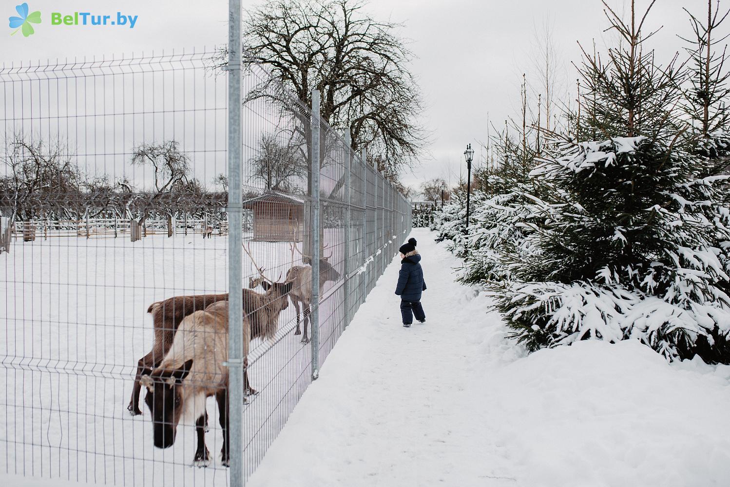 Rest in Belarus - hotel complex Versailles Park Hotel - Aviary