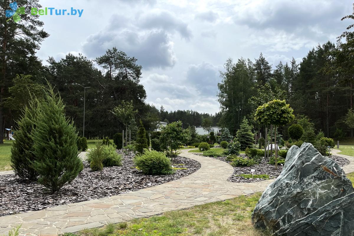 Rest in Belarus - Country complex Viliya Park - Territory