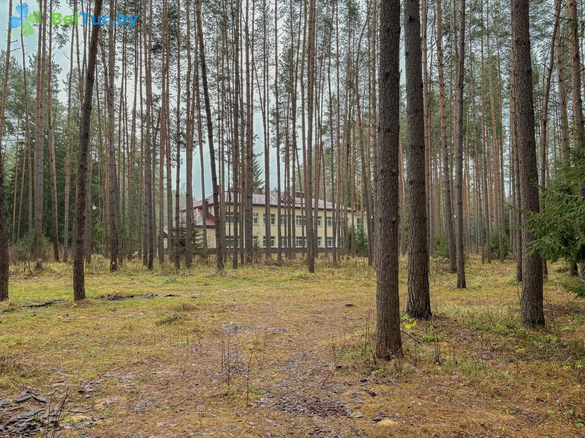 Адпачынак у Беларусі - спартыўна-аздараўленчы цэнтр Рудзея - Тэрыторыя і прырода