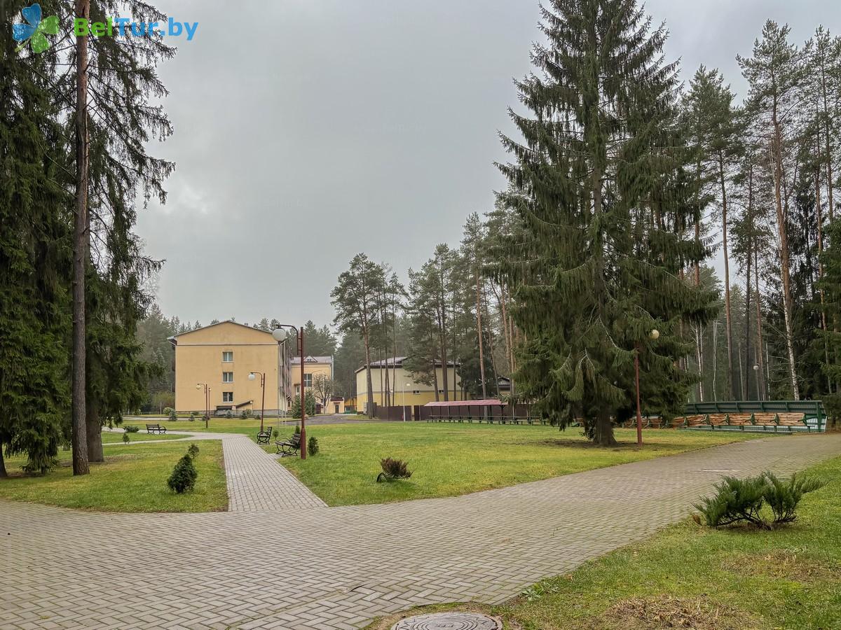Адпачынак у Беларусі - спартыўна-аздараўленчы цэнтр Рудзея - Тэрыторыя і прырода
