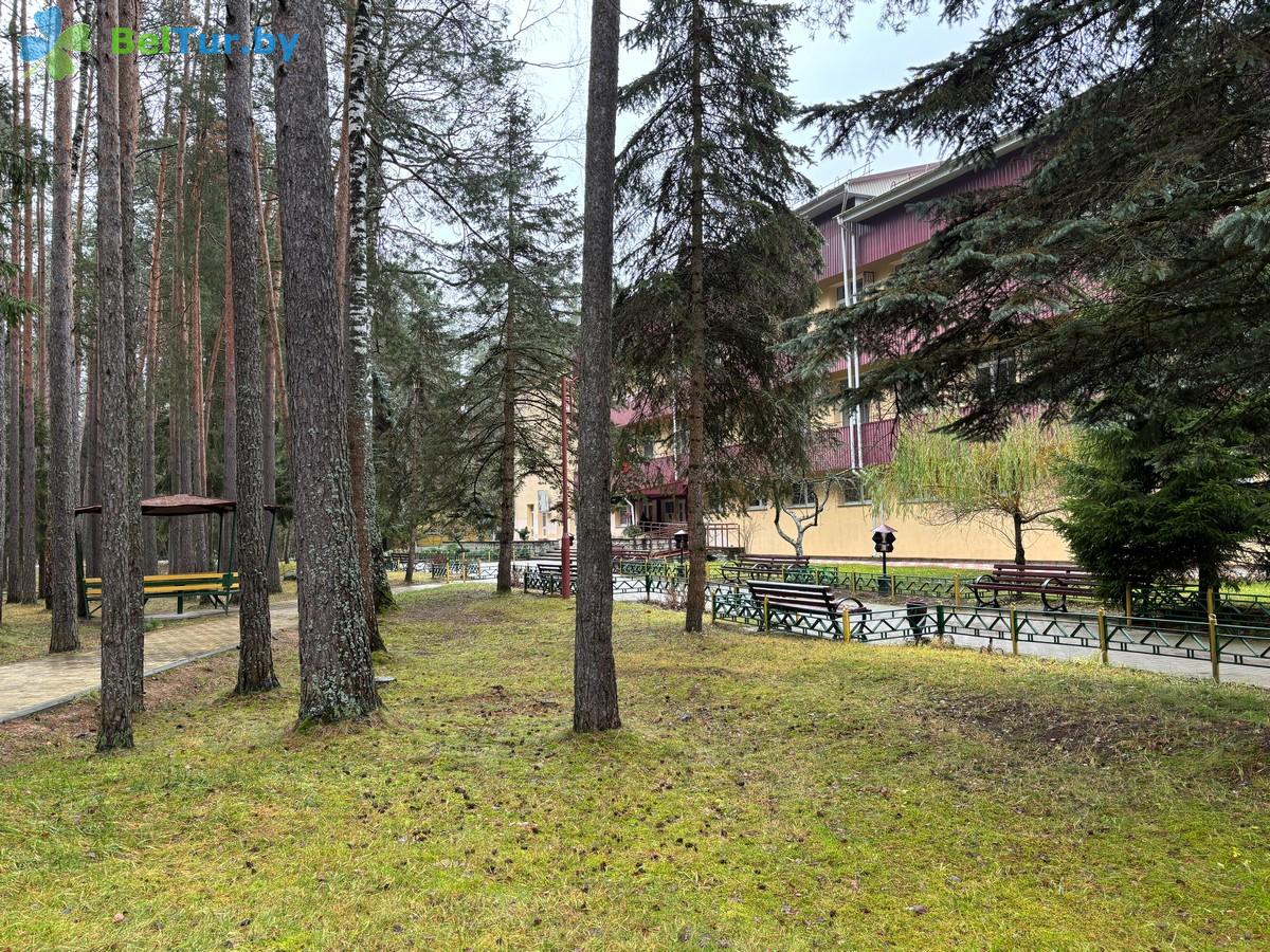 Адпачынак у Беларусі - спартыўна-аздараўленчы цэнтр Рудзея - Тэрыторыя і прырода