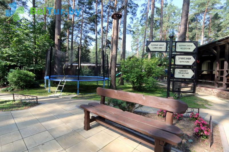 Отдых в Белоруссии Беларуси - база отдыха Бивак - Территория и природа