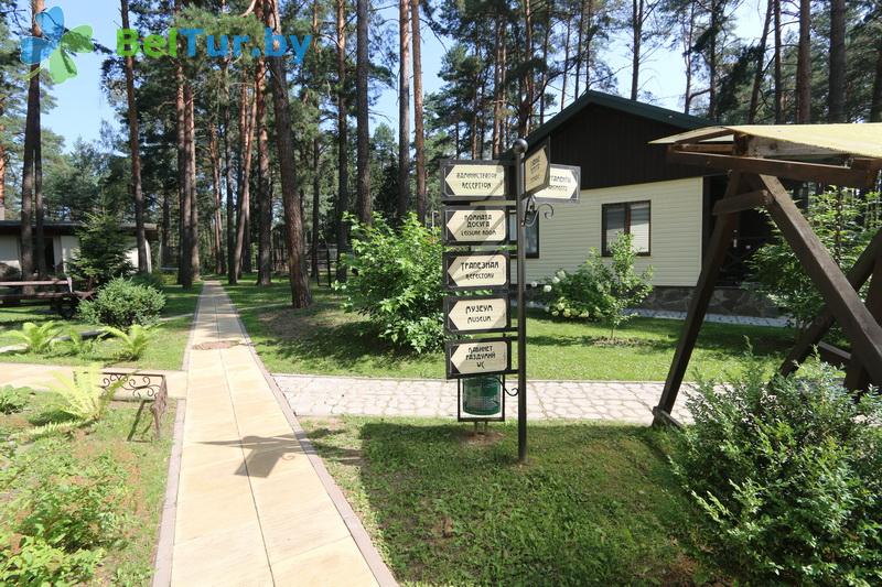 Отдых в Белоруссии Беларуси - база отдыха Бивак - Территория и природа