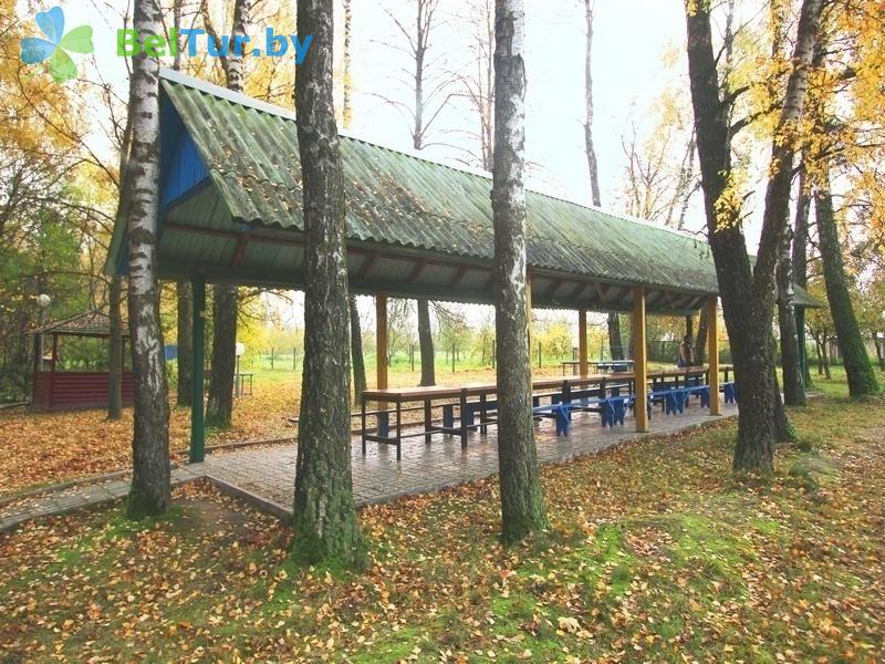 Rest in Belarus - recreation center Pogorany - Barbeque