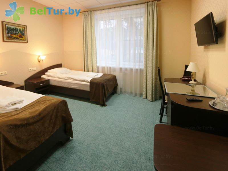 Rest in Belarus - educational and recreational complex Forum Minsk - 1-room double (for disabled people) (hotel) 