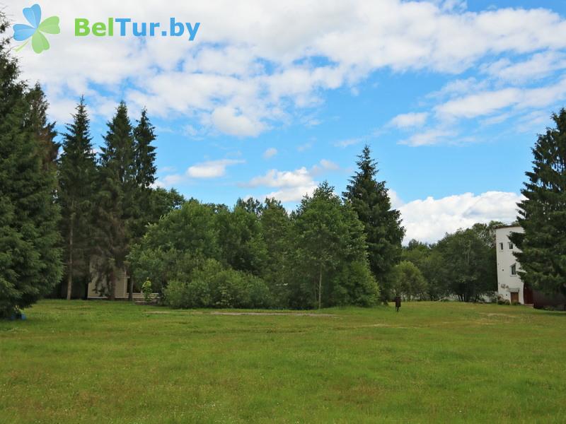 Rest in Belarus - hunter's house Lebedinoe - Territory