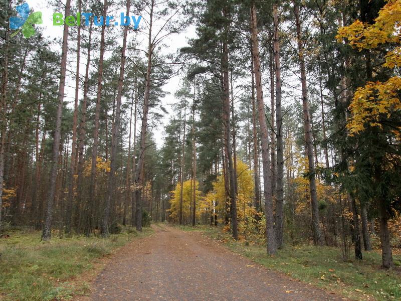 Rest in Belarus - hunter's house Na Vilii - Territory