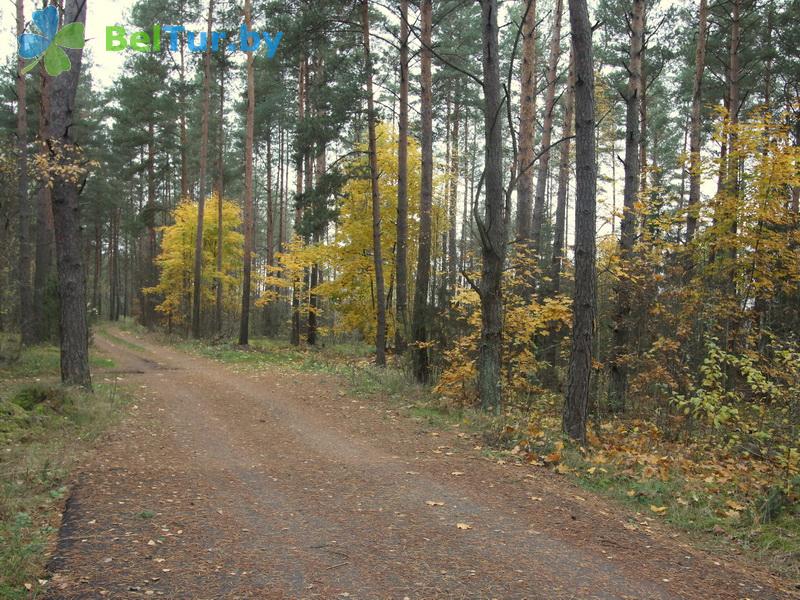 Rest in Belarus - hunter's house Na Vilii - Territory