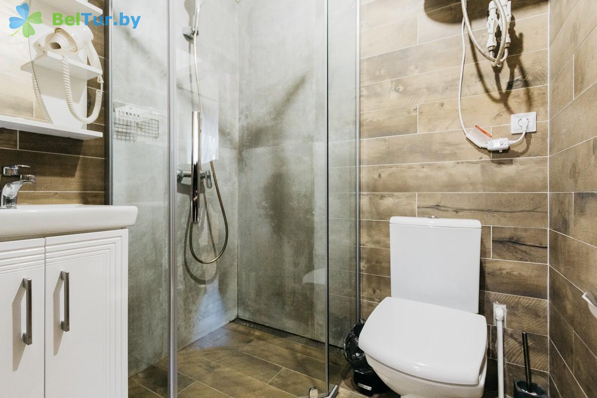 Rest in Belarus - recreation center Belyye Rosy - 1-room double (house Chalet) 