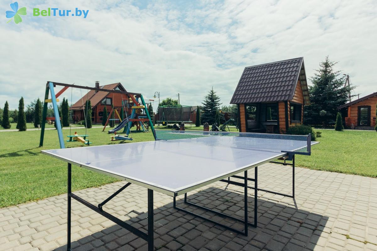 Rest in Belarus - recreation center Belyye Rosy - Table tennis (Ping-pong)