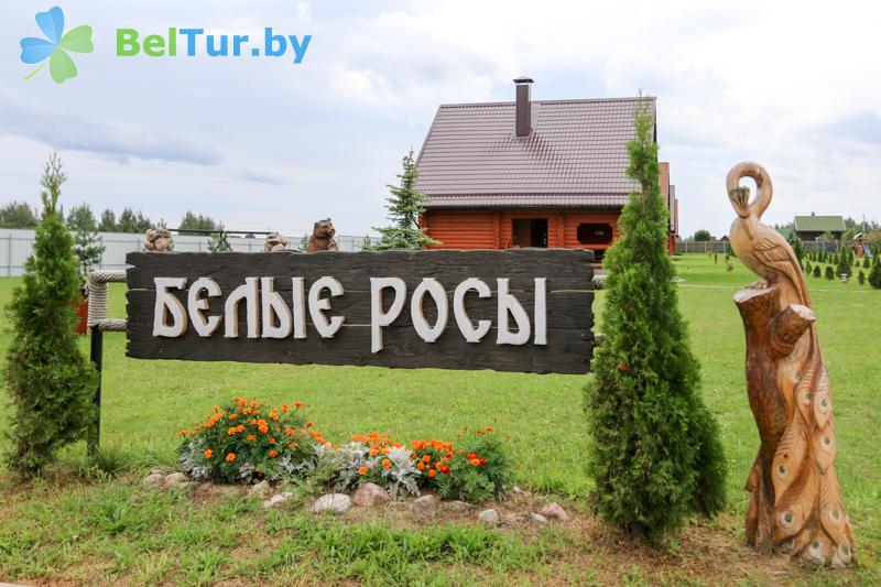 Rest in Belarus - recreation center Belyye Rosy - Territory