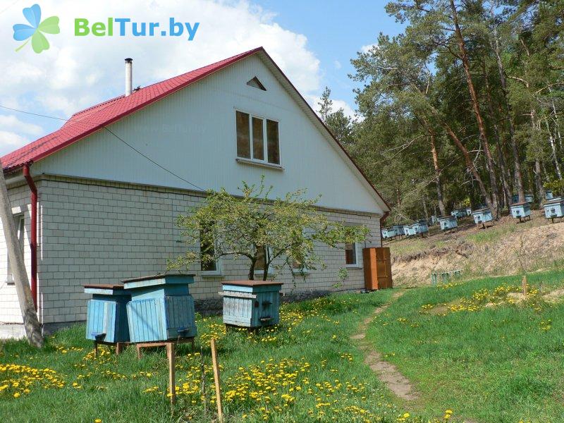Rest in Belarus - recreation center Gomselmash - hunter's houses 3-4