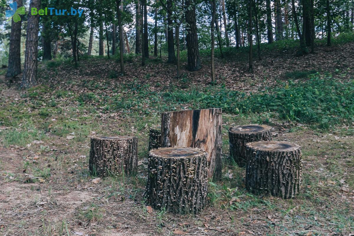 Rest in Belarus - recreation center Gomselmash - Territory