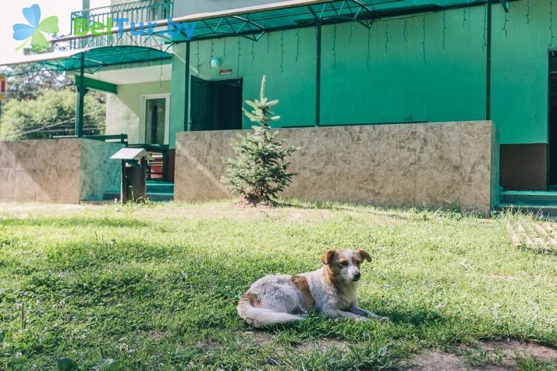 Rest in Belarus - recreation center Gomselmash - Placement with animals