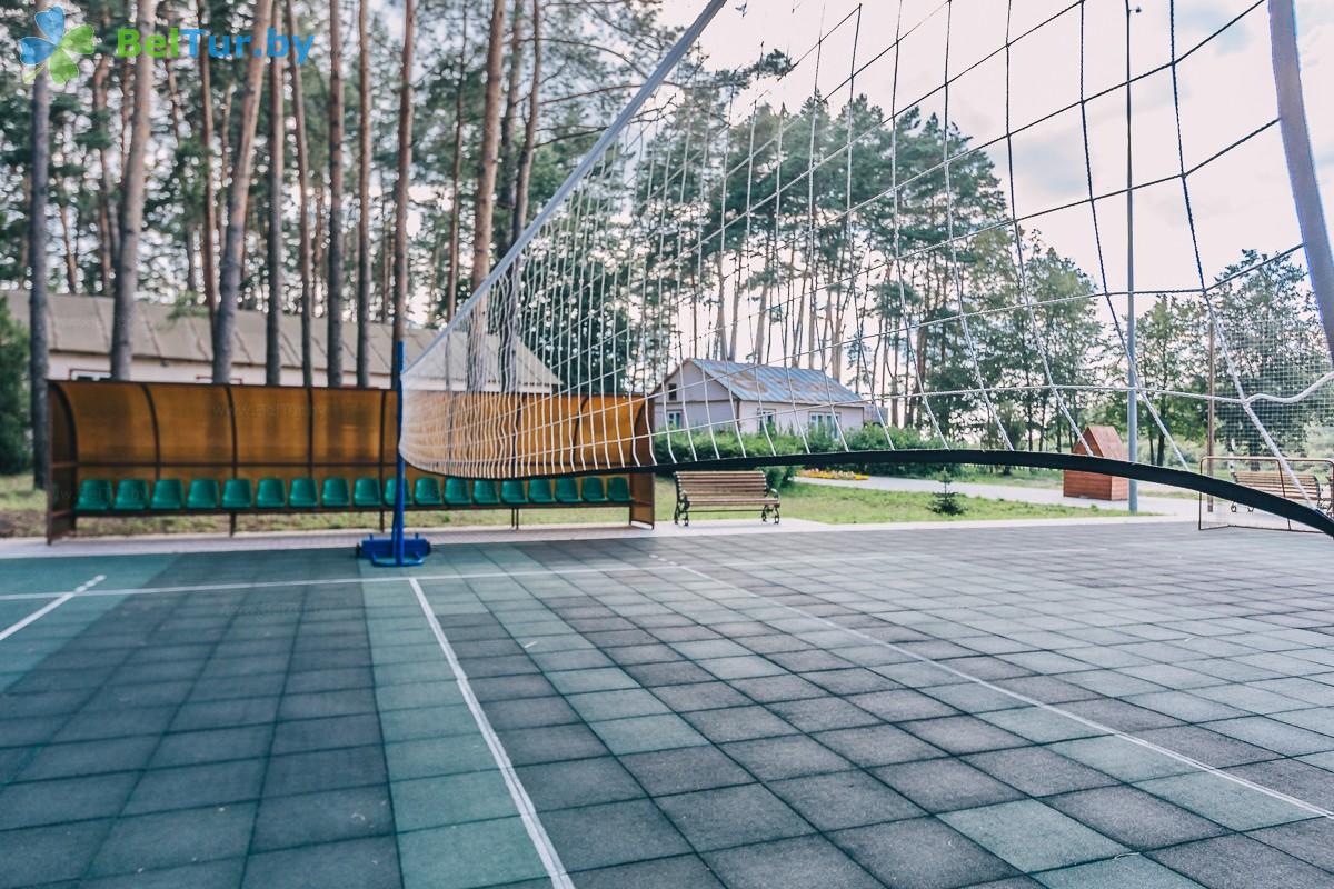 Rest in Belarus - recreation center Gomselmash - Sportsground