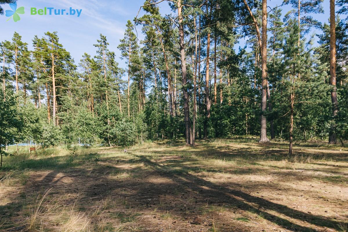 Rest in Belarus - recreation center Gomselmash - Place to put up tents