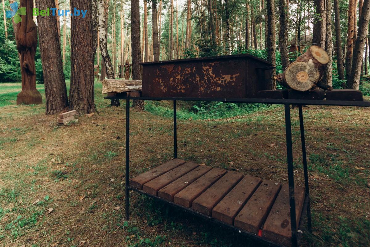 Rest in Belarus - recreation center Verbki - Barbeque