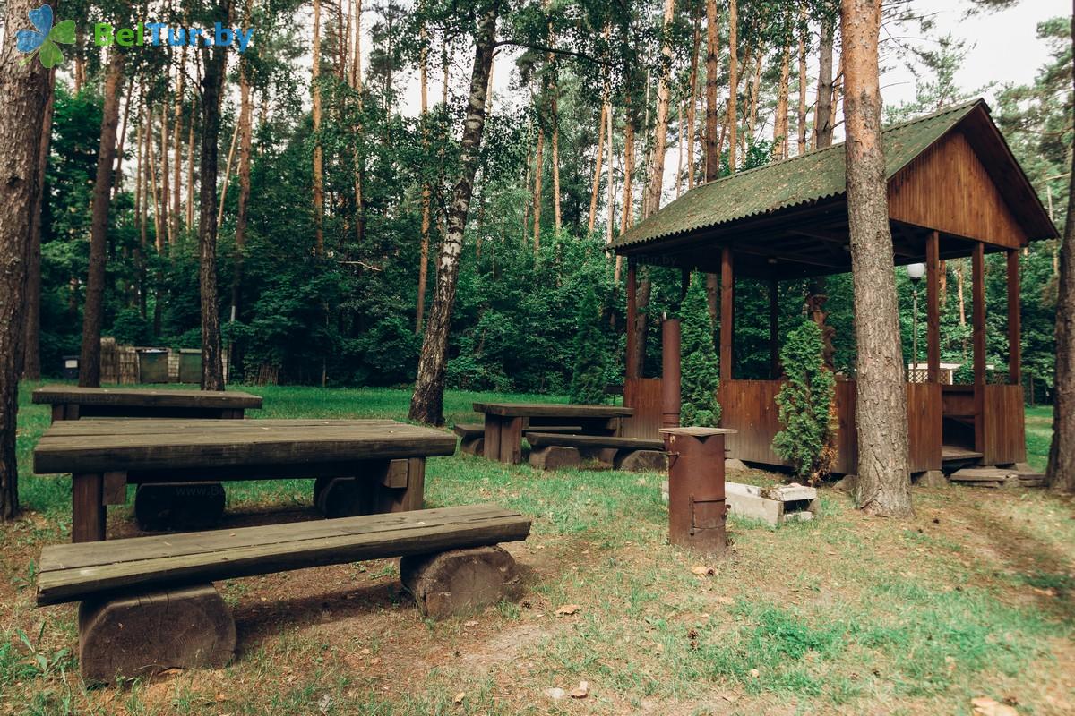 Rest in Belarus - recreation center Verbki - Barbeque