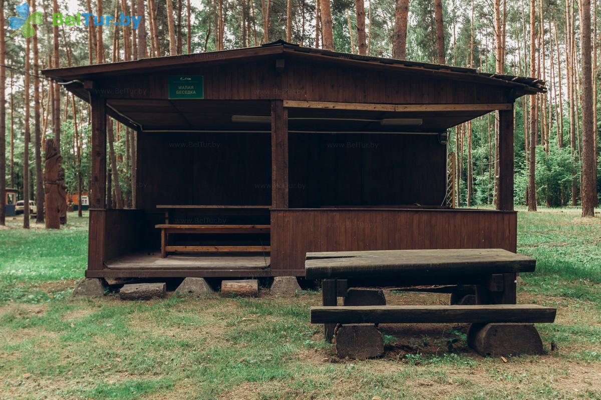 Rest in Belarus - recreation center Verbki - Arbour