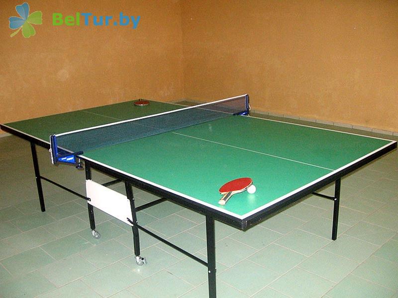 Rest in Belarus - hunter's house Gat - Table tennis (Ping-pong)