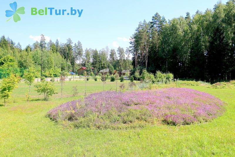 Rest in Belarus - hotel complex Green Park Hotel - Territory