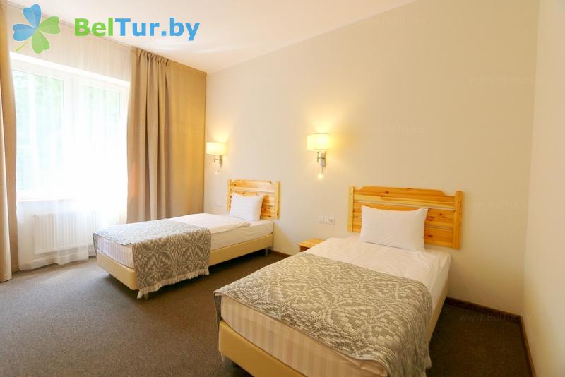 Rest in Belarus - hotel complex Green Park Hotel - double 1-room / Twin Premium (for people with disabilities) (hotel) 