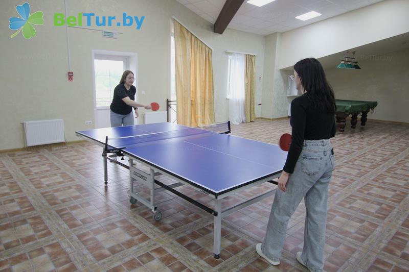 Rest in Belarus - recreation center Chaika Borisov - Table tennis (Ping-pong)