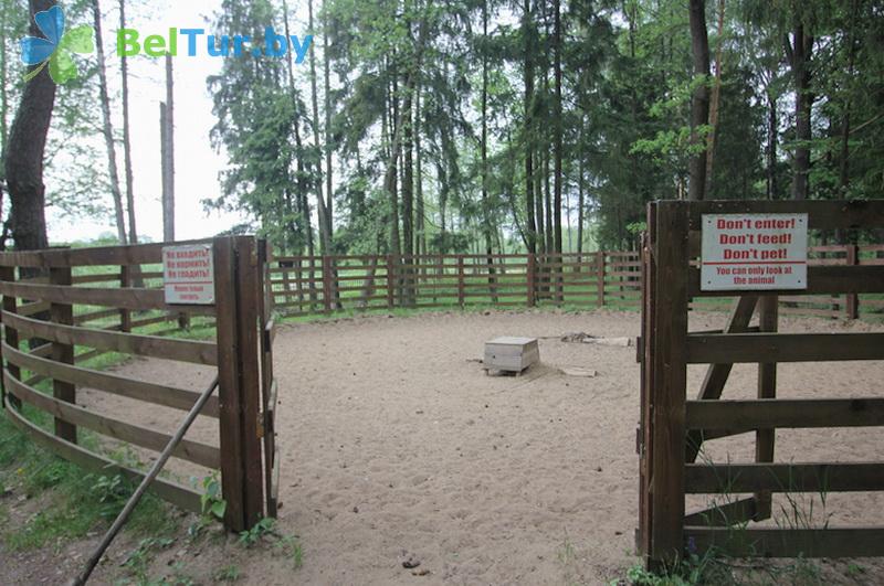Rest in Belarus - recreation center Chaika Borisov - Equestrian arena