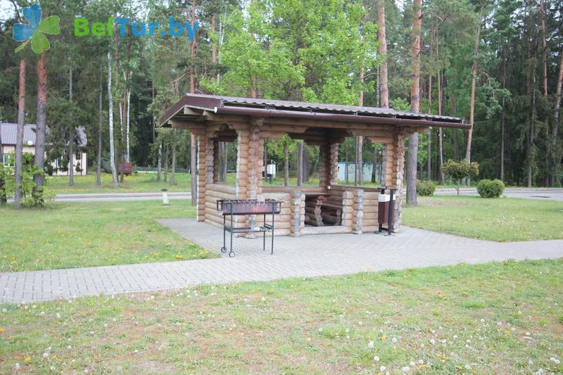 Rest in Belarus - recreation center Chaika Borisov - Arbour