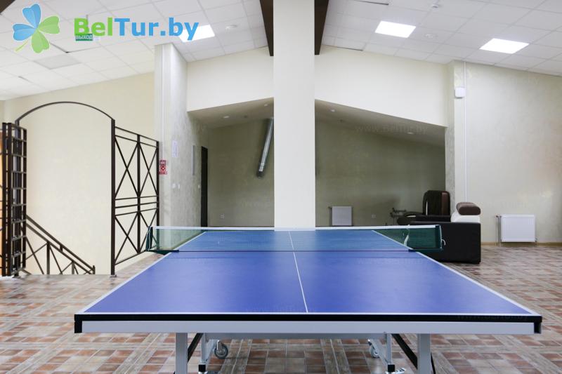 Rest in Belarus - recreation center Chaika Borisov - Table tennis (Ping-pong)