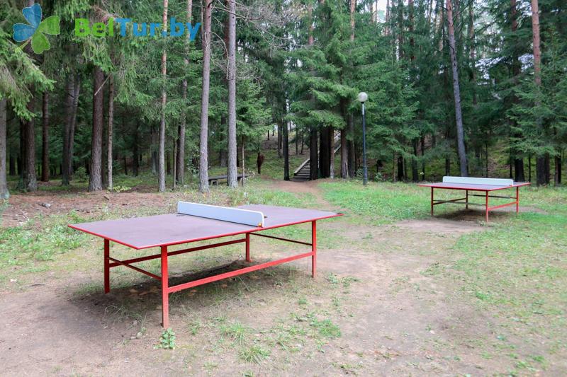 Rest in Belarus - health-improving complex Isloch Park - Table tennis (Ping-pong)