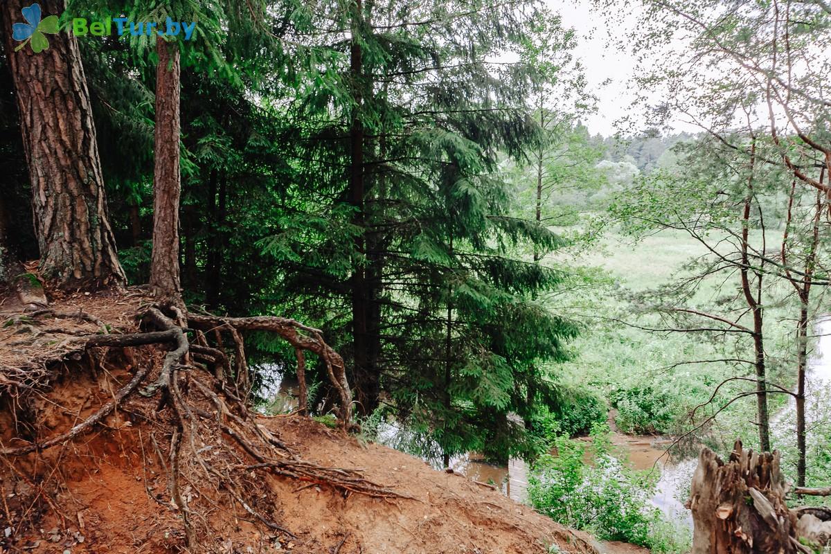 Rest in Belarus - health-improving complex Isloch Park - Territory