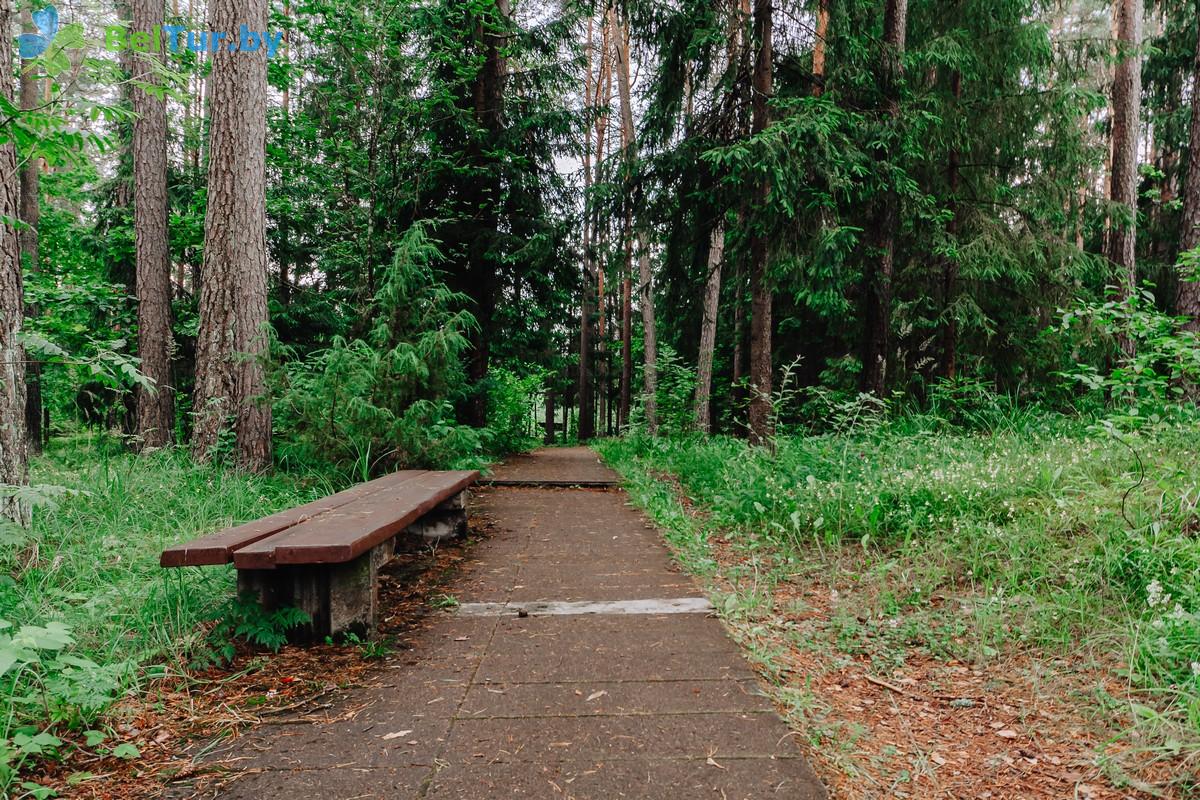Rest in Belarus - health-improving complex Isloch Park - Health path