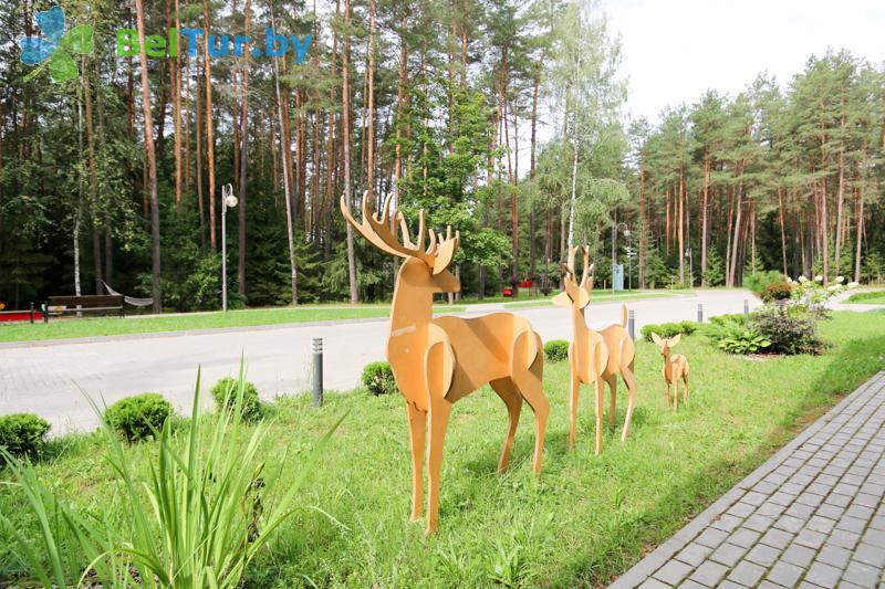 Rest in Belarus - health-improving complex Isloch Park - Territory