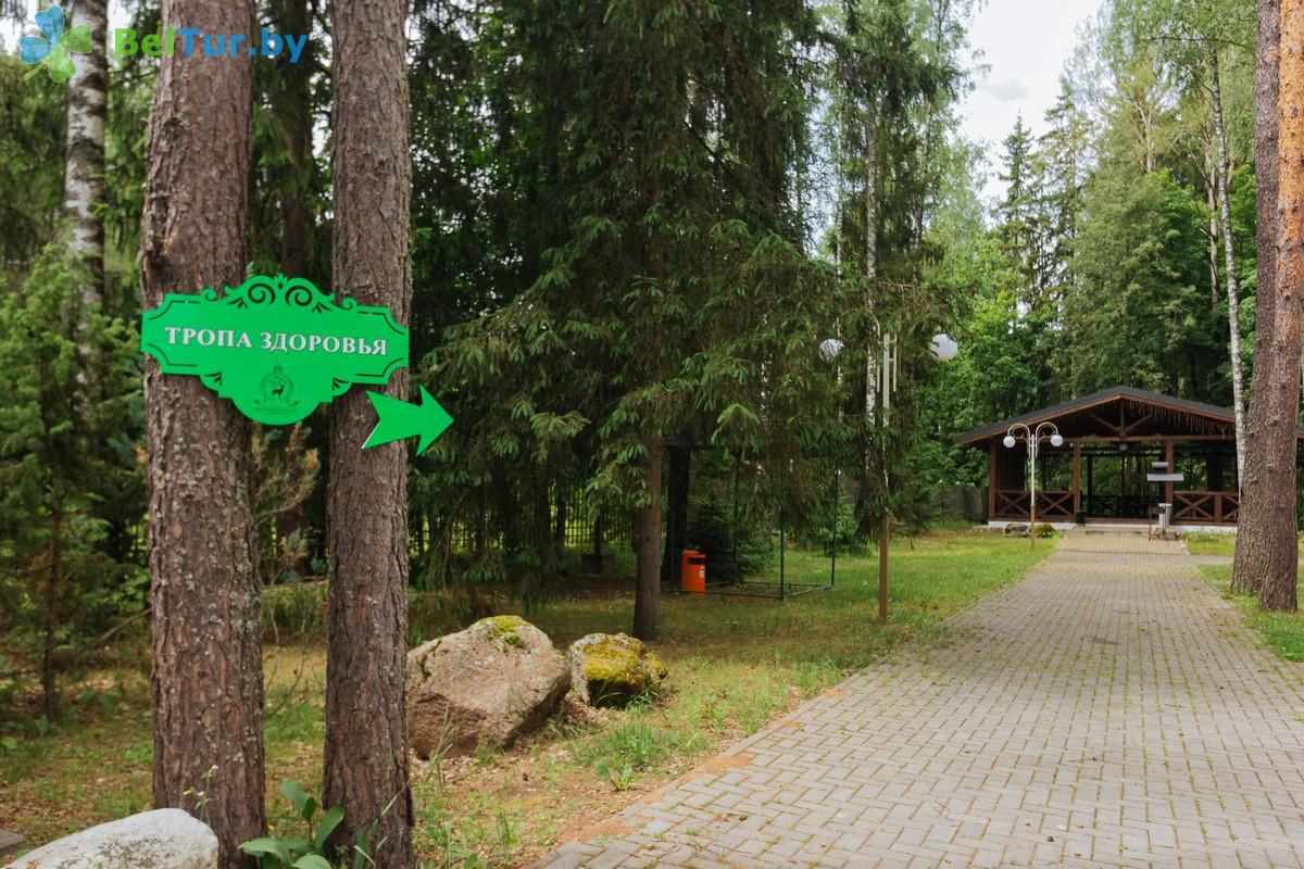 Rest in Belarus - recreation center Serebryanyiy rodnik - Territory