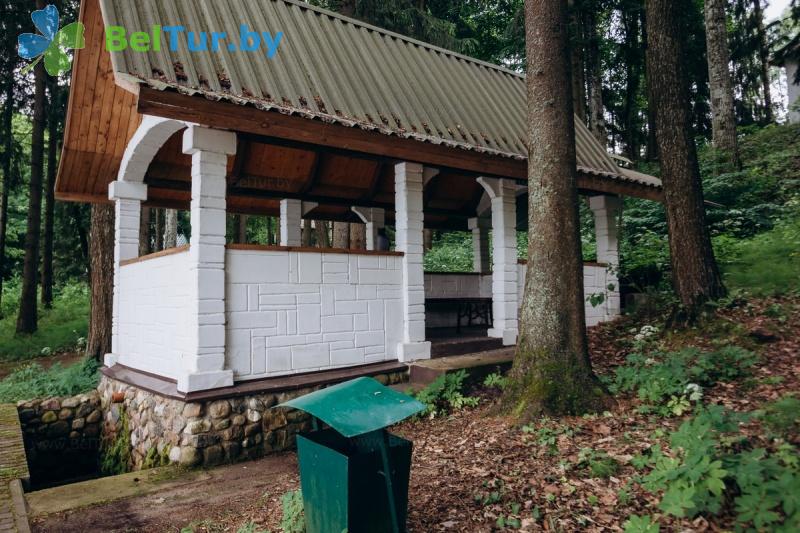 Rest in Belarus - recreation center Serebryanyiy rodnik - Arbour