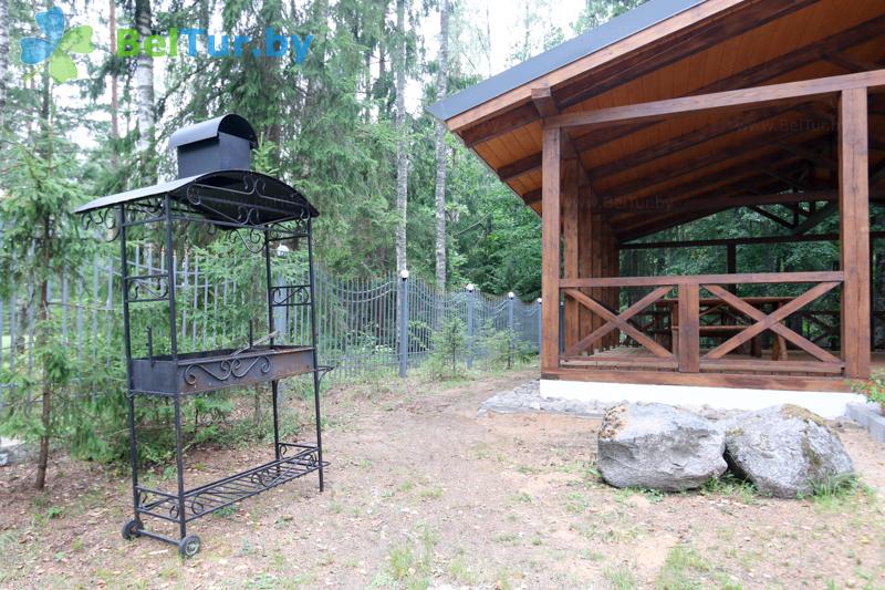 Rest in Belarus - hotel complex Serebryanyiy rodnik - Barbeque