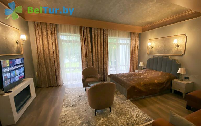 Rest in Belarus - hotel complex Vishnevyi sad - 1-room double delux (building 1 (main)) 