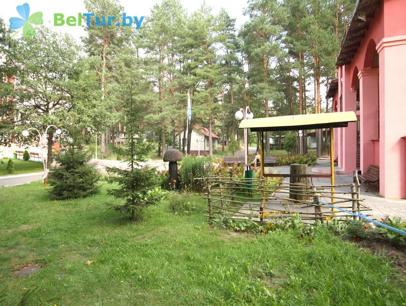 Rest in Belarus - recreation center Vysoki bereg Nemana - Territory