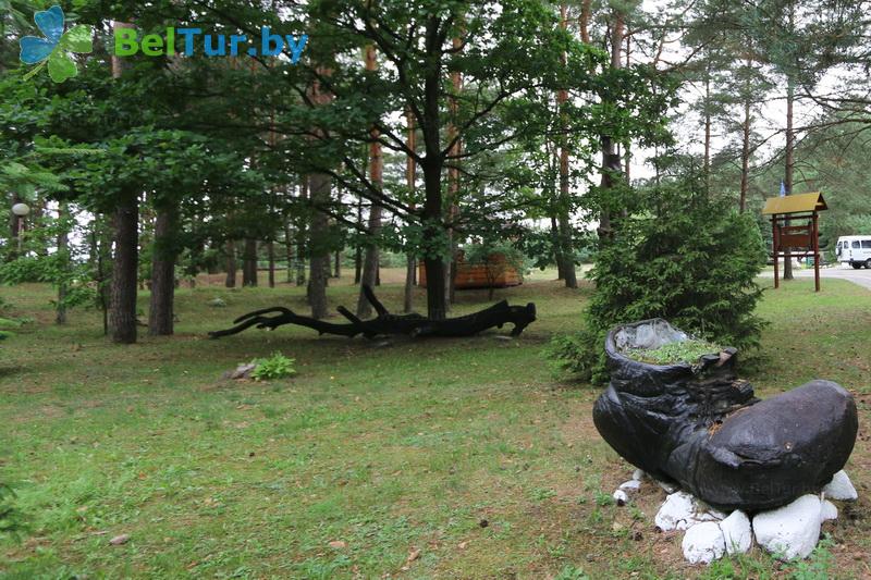 Rest in Belarus - recreation center Vysoki bereg Nemana - Territory