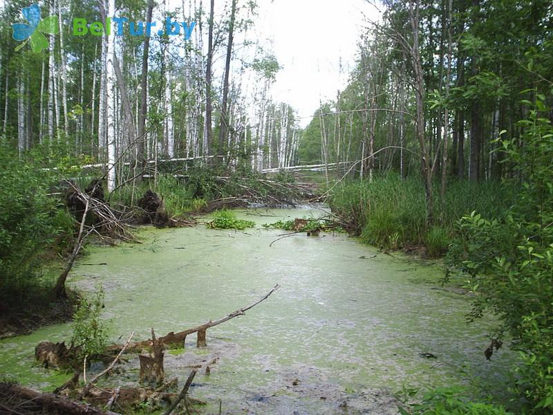 Rest in Belarus - hunter's house Gluhariny tok - Water reservoir